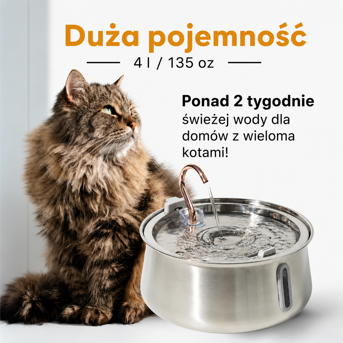 Świeża woda, którą pokocha Twój kot.